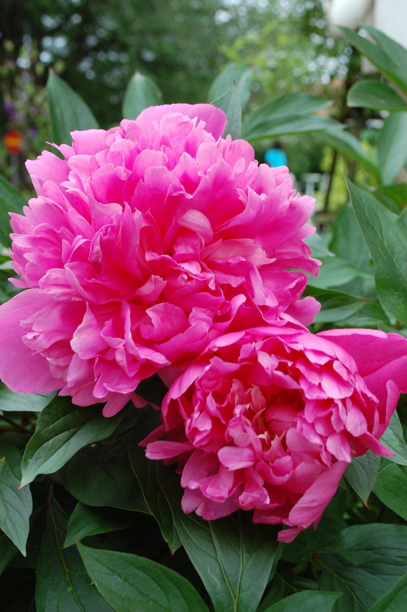 Allegarden Kastloesa Vandrarhem Ngoại thất bức ảnh